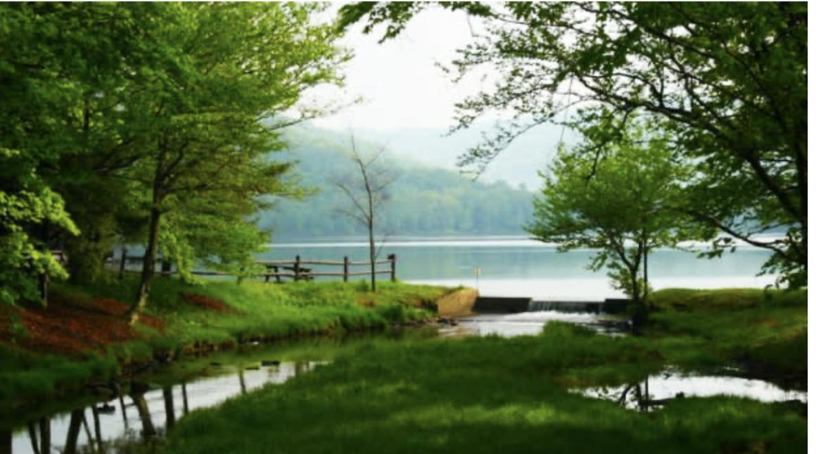 Villa Prattvilla -catskill -mountain Escape 5 Bedroom ,3 Bath With Hot Tub *